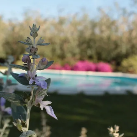 Bed and breakfast Il Baiocco