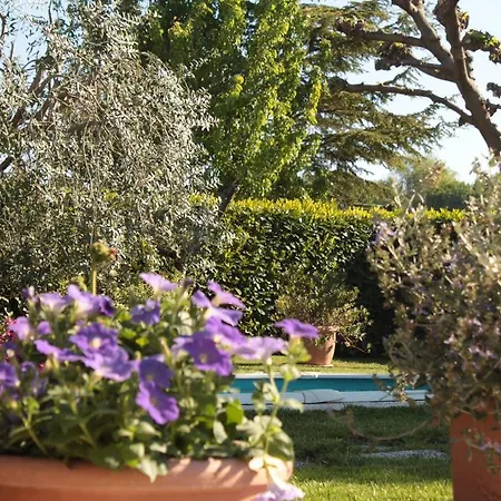 Il Baiocco Civitanova Marche