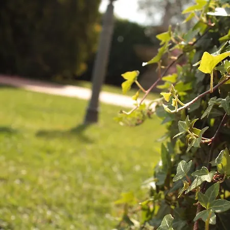 Bed & Breakfast Il Baiocco Civitanova Marche