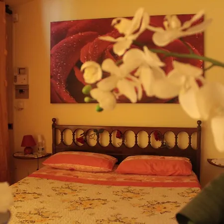 Bed and breakfast Il Baiocco Civitanova Marche